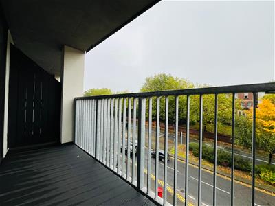 Picture 20